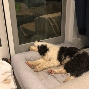 Meet your Posher, Jon